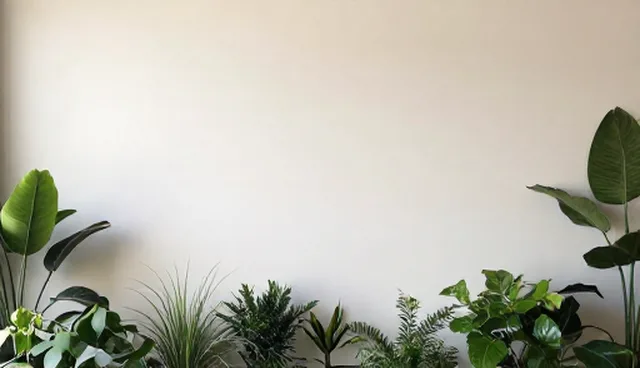 慢病随访服务如何选择依据与实际问题解析